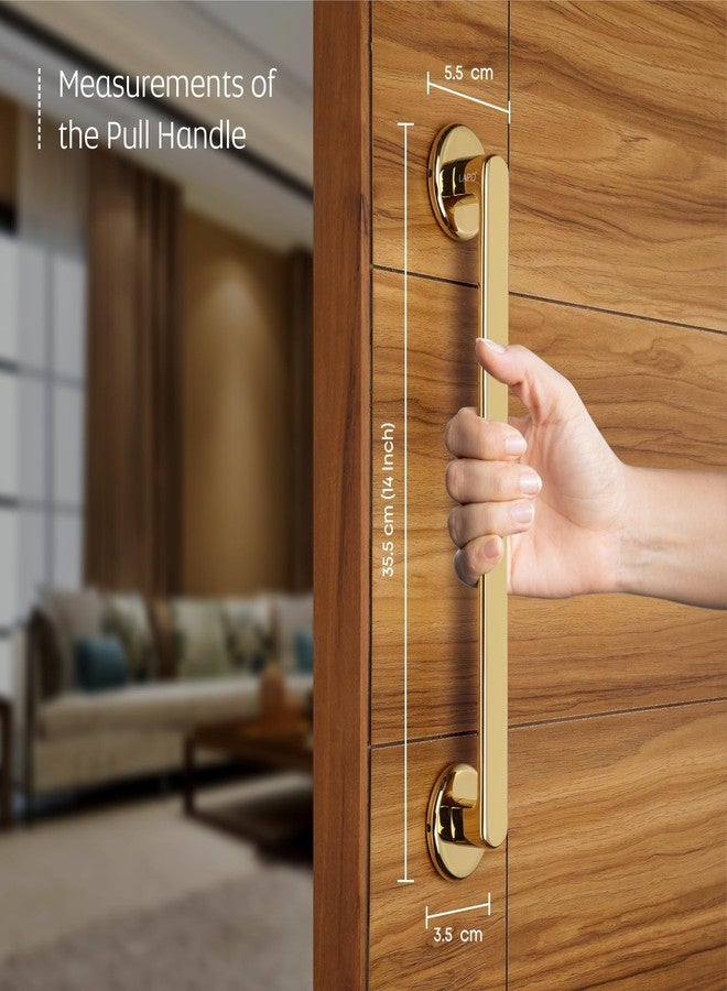 LAPO مقبض باب لابو بولو للباب الرئيسي | مقبض باب رئيسي | مقبض باب | سبيكة زنك (14 بوصة - عبوة من قطعة واحدة) طلاء ذهبي | ضمان 3 سنوات | مقبض سحب - Image 4